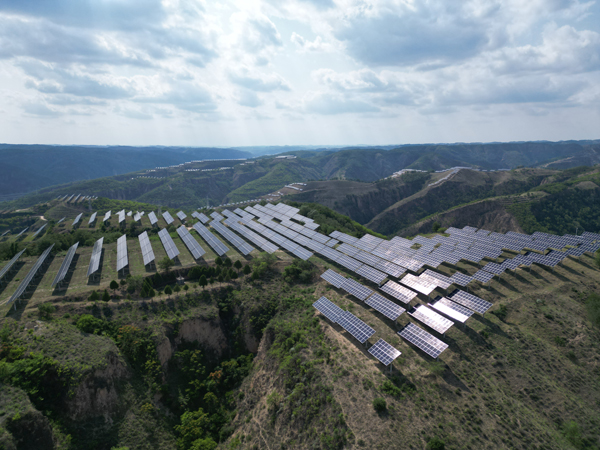 贾家坪50兆瓦农光互补项目。受访者供图